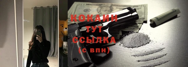 прущий лед Алзамай