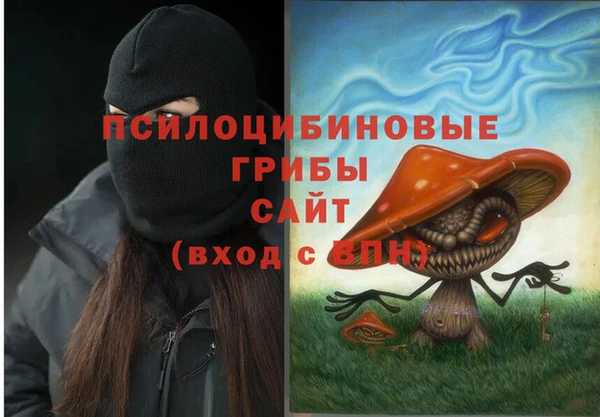 твердый Алексеевка