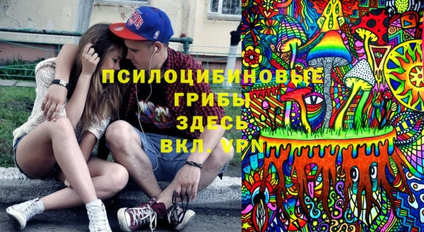 твердый Алексеевка